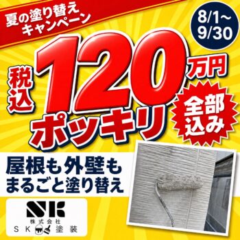 夏期限定キャンペーン♪